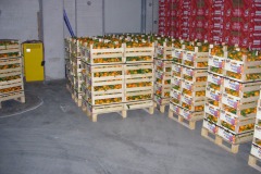 mini-pedana-100x60