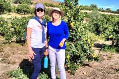 508651701_10235828967480541_4677621459737106437_n
